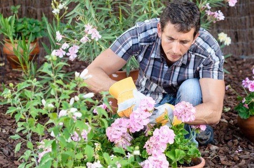 Professional landscaper designing outdoor space
